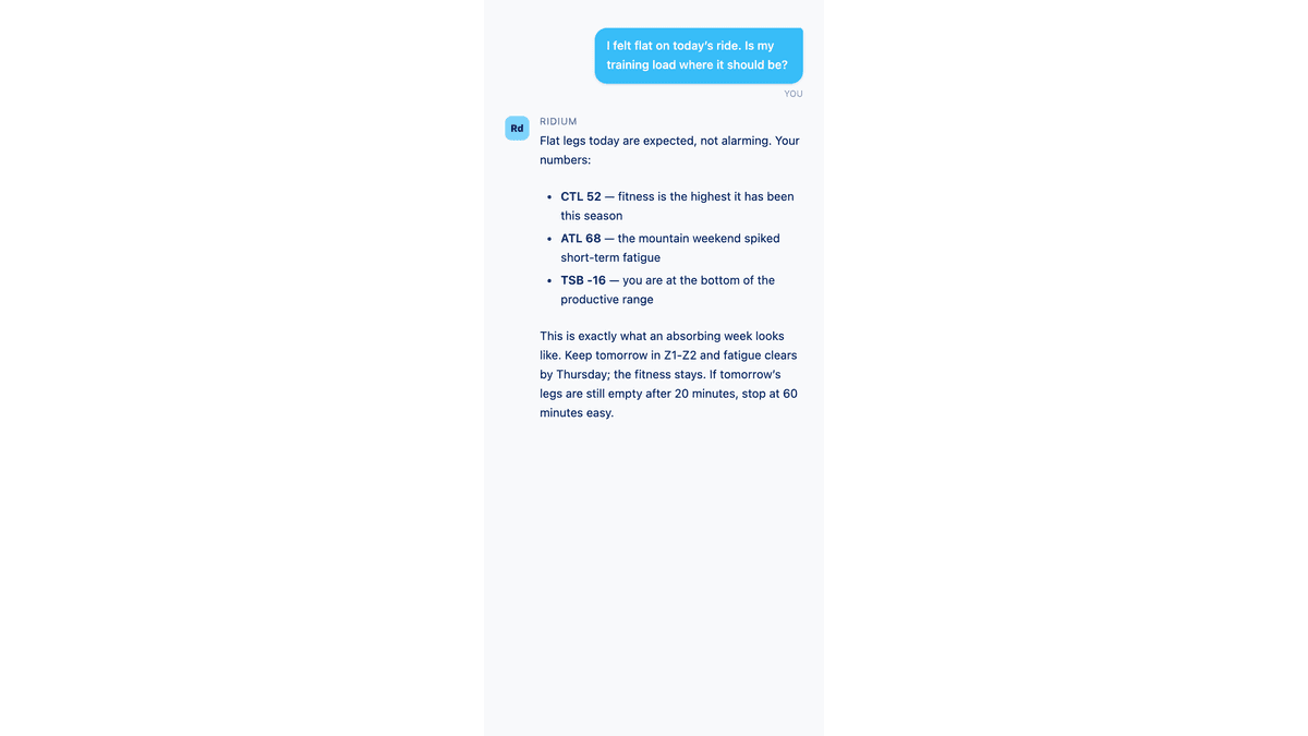 Mobile-width chat view.